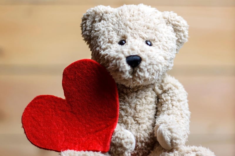 Cuddly toys are a great way to let somebody know how much you love them, but be aware that they often aren't made to the same standards as pet toys. If your dog manages to pinch your Valentine's teddy the stuffed animal will likely be destroyed, creating a choking hazard for the pooch.