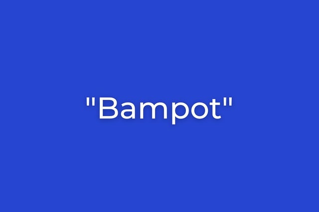 One of the most delightful to pronounce words in the Scottish vocabulary, a 'bampot' - or simply 'bam' - is an eejit. Someone who is foolish, obnoxious and annoying.