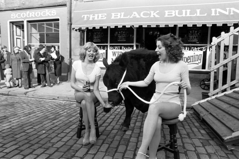 Models with a real black bull at the opening of The Black Bull Inn in the Grassmarket Edinburgh, March 1980.