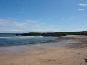 Eyemouth beach recorded the highest levels of contamination this summer