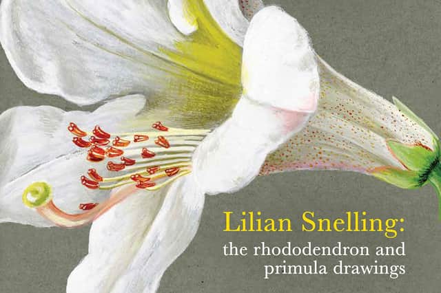 Lilian Snelling- The Rhododendron and primula drawings book. Credit: Saltire News