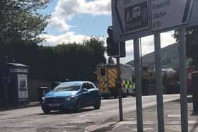 An ambulance was called to the scene but reports of a man being injured during the dog on dog attack are yet to be confirmed.