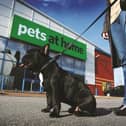 The Pets at Home chain has been boosted by a surge in demand for pets among Britons since the start of the coronavirus crisis while its essential status has allowed its stores to remain open throughout lockdowns.