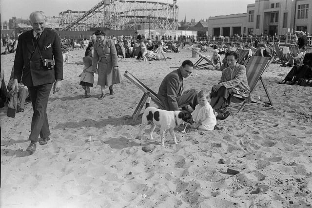A family with a dog on Portobello Beach in May 1956 with the open air pool and rollercoaster from the funfair in the background.