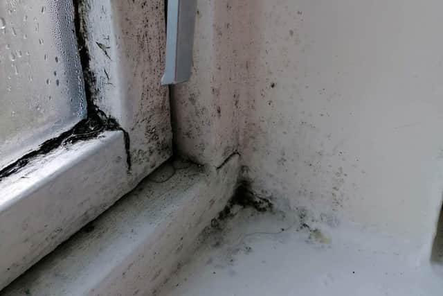The couple blame the damp and mould for their daughter's worsening health.