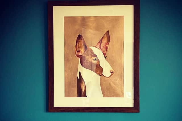 'Prince of Egypt' print. Unlike how they are treated now, podencos (drawn here) and galgos were treasured by Egyptians in ancient times picture: supplied