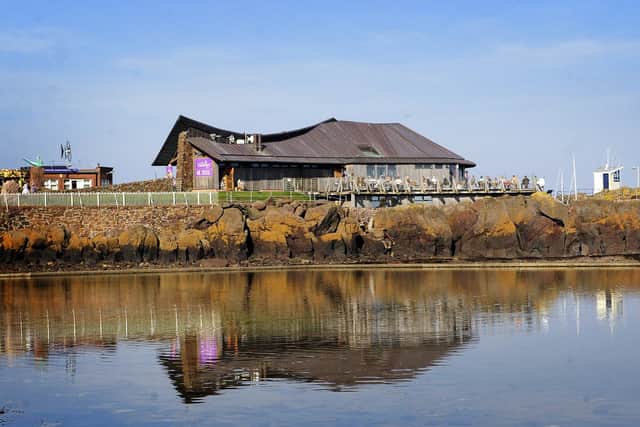 The Scottish Seabird Centre overlooks North Berwick Harbour and a beautiful stretch of sandy beach, with a rocky shoreline that’s perfect for rockpooling.