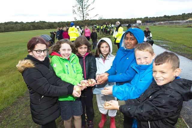 Winchburgh school children helping to plant the first daffodils in the new park.