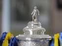 Picture Michael Gillen.  Scottish Cup trophy.