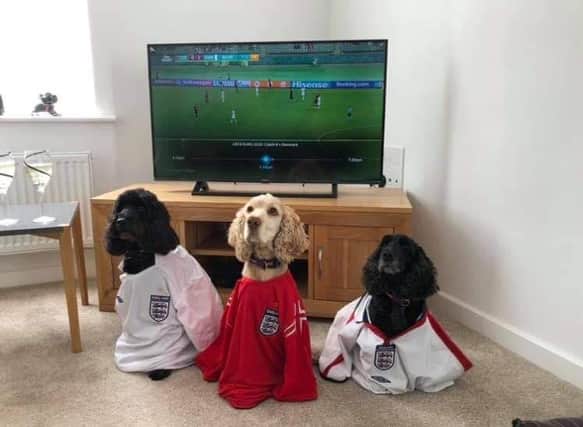 Even pooches donned their England shirts to cheer on the team ahead of their 4 nil victory over Ukraine in the Euros yesterday. Submitted by Mary Wigmore.