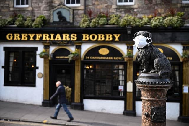 A statue, suitably attired for the age of Covid, of Greyfriars Bobby whose smart descendants may be plotting against humans, given the mess we've been making of the planet (Picture: Jeff J Mitchell/Getty Images)