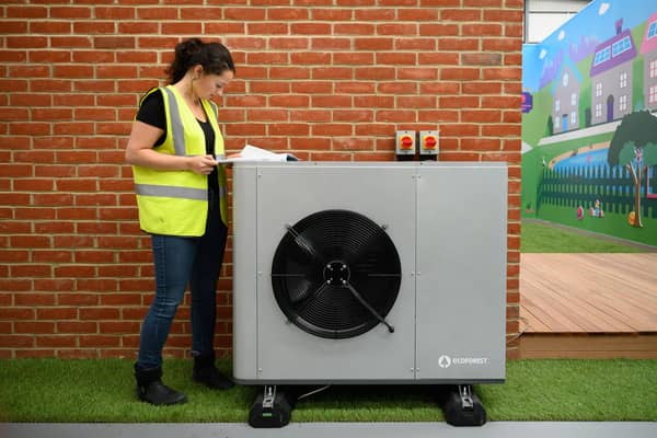 Heat pumps can be very expensive to run as they use a lot of electricity, and they cost several times more than an average boiler to buy, says Susan Dalgety (Photo by Leon Neal/Getty Images)