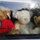 Teddies have been put in the windows. Picture:  Amber Dangel\The Big Bear Hunt
