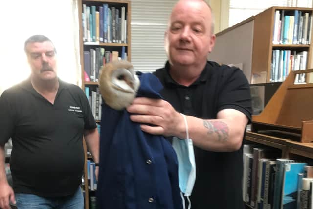 Cleaner rescues barn own at Central Library