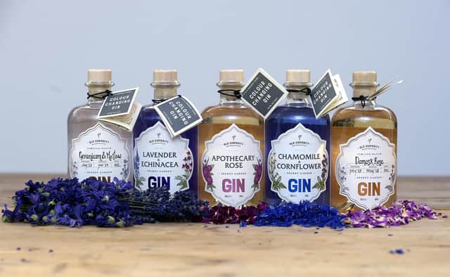 A number of different gins, none of which are currently for Susan (Picture: Lisa Ferguson)