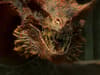 House of the Dragon: The 15 most powerful dragons in Games of Thrones show -  from Caraxes to Syrax