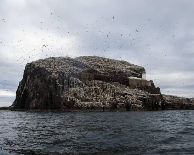 The Bass Rock was described by Sir David Attenborough as 'one of the 12 wildlife wonders of the world'