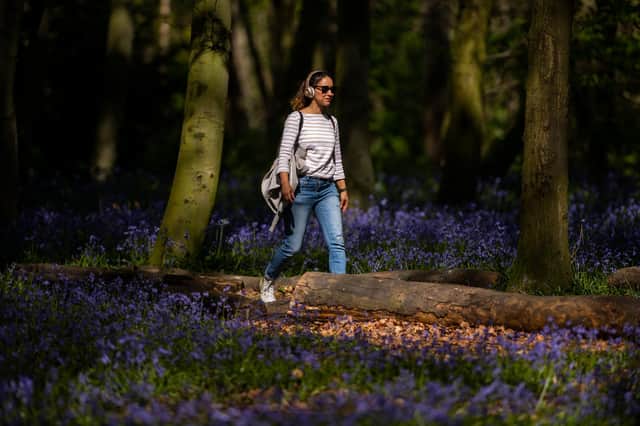 There is much to be said for going for a regular walk in a natural setting (Picture: Justin Setterfield/Getty Images)