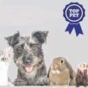 Does your pet have what it takes to win our great competition?