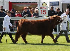 The 2021 Royal Highland Show will not go ahead as planned.
