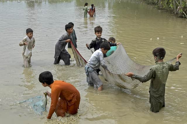 Children catch fish in a flooded street on Sunday after heavy monsoon rains in Charsadda district of Khyber Pakhtunkhwa province (Picture: Abdul Majeed/AFP via Getty Images)