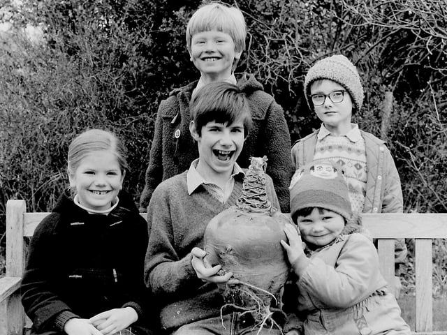 Giant turnip, Selkirk, April 1983.