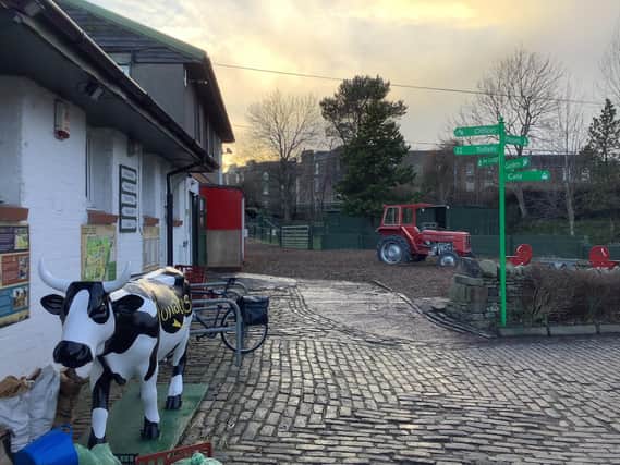 There’s a chance to get hands-on, practical experience of how to keep farm animals happy and how to care for them properly at popular family attraction Love Gorgie Farm