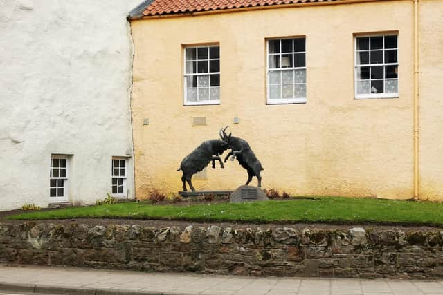 The popular fighting 'Goats of Haddington' sculpture in the town centre. Picture: Rachel Mackie