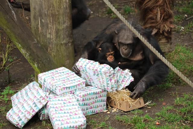 Masindi spent her birthday tearing wrapping paper off her presents.