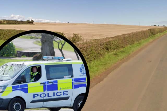 East Lothian crime: More appeals made after cases of sheep worrying by dogs at Barns Ness reported