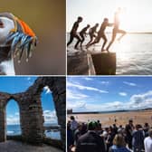 Some of the amazing adventures and experiences on offer in the glorious East Neuk of Fife.