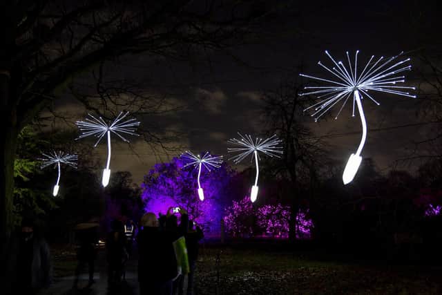 Light a Wish by OGE Group, courtesy Light Art Collection, will be on display at the Botanics this Christmas in Edinburgh. Photo by Rikard Osterlund.