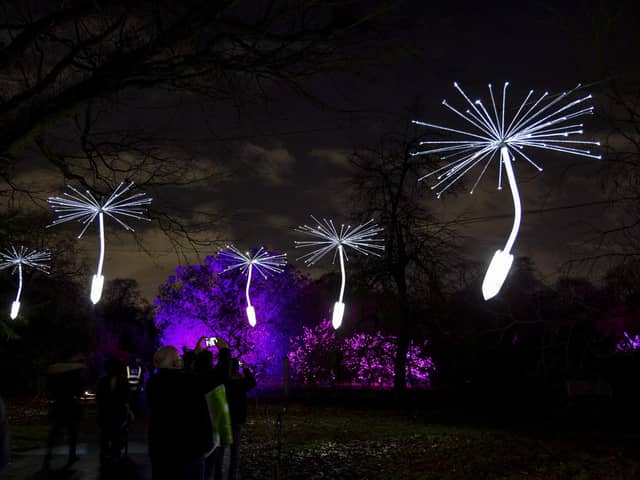 Light a Wish by OGE Group, courtesy Light Art Collection, will be on display at the Botanics this Christmas in Edinburgh. Photo by Rikard Osterlund.
