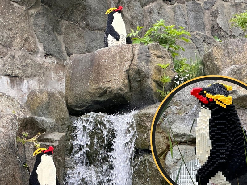 You’ll find a colony of Rockhopper Penguins enjoying their very own enclosure. The models were made from 6,816 bricks and took 101 hours to complete