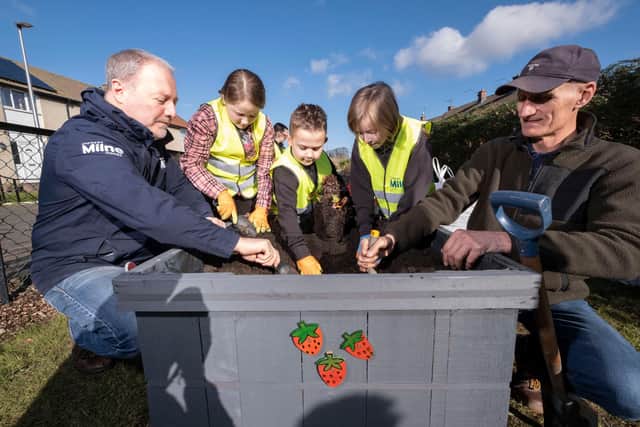 Danderhall PS pupils planting fruit plants in the local community