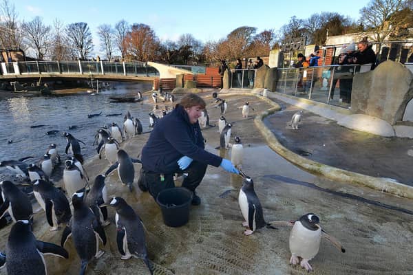 Edinburgh Zoo is losing £640,000 every month it is shut