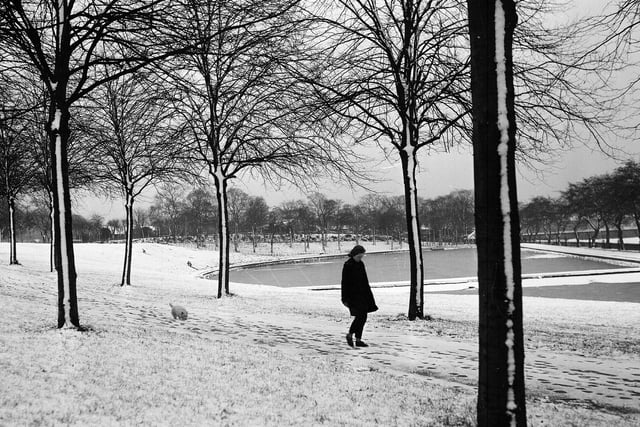 A girl walking beside frozen pond in Inverleith Park.