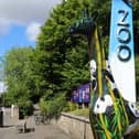 The design of Bamboozled was inspired after its creator, Jina Gelder, visited the beautiful pandas at Edinburgh Zoo.