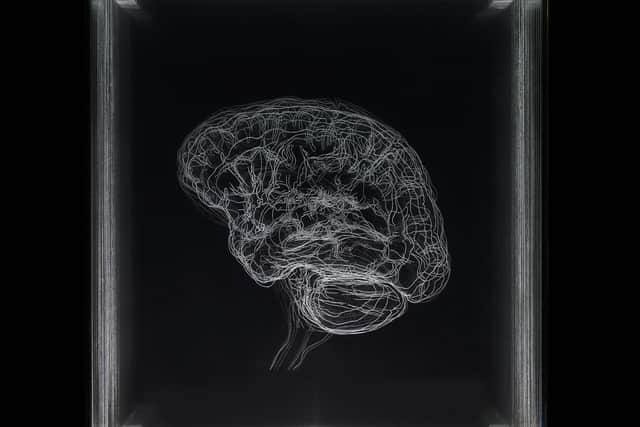 Artist Angela Palmer created this work on hand-engraved sheets of glass based on MRI scans of her brain activity.
