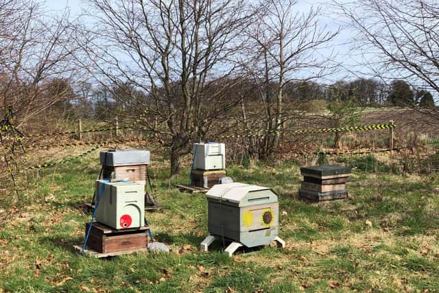 The 'nuc box' on the far right with the red mark is the portable hive containing more than 2,000 bees and a newly hatched queen which is believed to have been stolen.