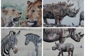 Edinburgh professional wildlife artists Carol Barrett also has paintings on display at the exhibition.