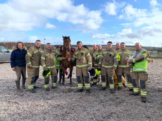 Ace the horse with firefighters.