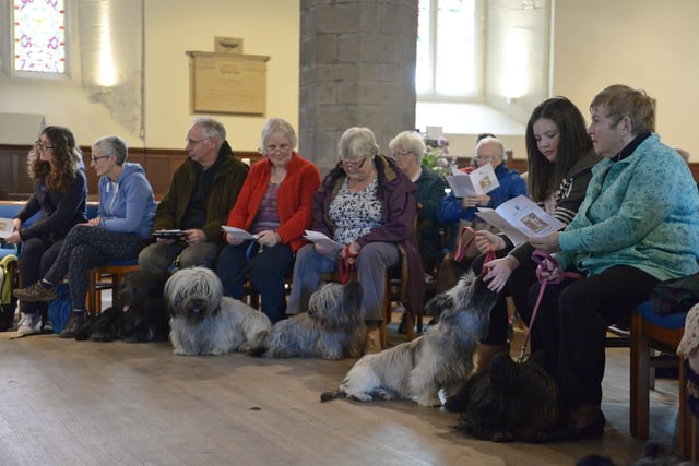 As well as the novelty of a church full of animals, here's a serious side to the service too.  Greyfriars minister the Rev Dr Richard Frazer says: "You can't underestimate how important a pet can be for people who are on their own or going through difficult times. Pets, especially dogs, can be a real source of companionship for people."
