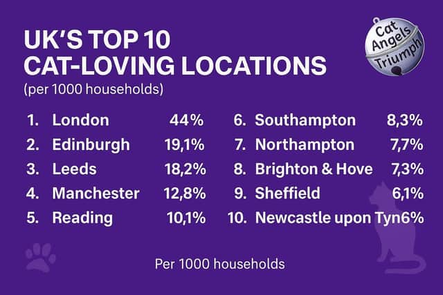 The top 10 areas in the UK for cat ownership