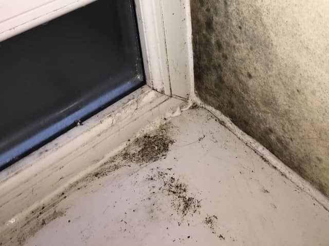 The family have moved out of their house while the council carries out an investigation into the mould.