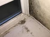 The family have moved out of their house while the council carries out an investigation into the mould.