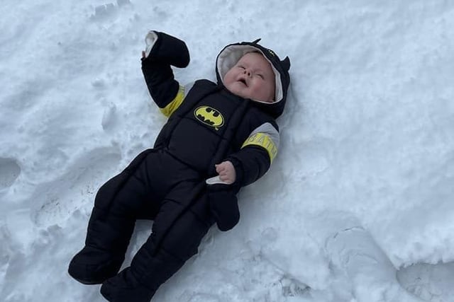Eight month old Andy playing in the snow. Submitted by Maryjane Brown.