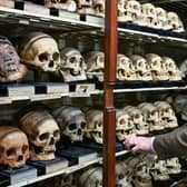 Edinburgh University professor of anatomy Tom Gillingwater in the university's skull room.  The skulls of four Taiwanese tribal warriors killed nearly 150 years ago are the latest to be repatriated. Picture: Neil Hanna/University of Edinburgh/PA Wire.