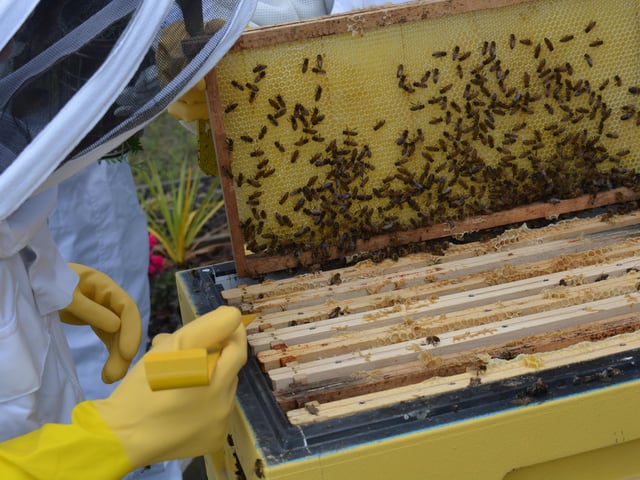 Based near Glasgow, ACS Clothing is Europe’s largest independent supplier of formal hire-wear. The company works to reduce the impact of clothing waste by extending the life of garments and encouraging clothing hire. They also use an eco-friendly Ozone chamber to sanitise clothes and have a 'biodiversity bubble' with bee keeping and rewilding plants and trees at their site.