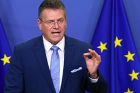 Maros Sefcovic, Vice-President of the European Commission